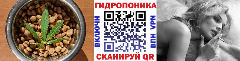 Купить закладки  Богородск  Еда ТГК конопля 