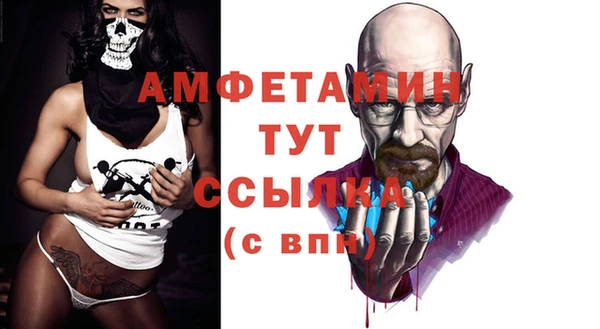 ПСИЛОЦИБИНОВЫЕ ГРИБЫ Инта
