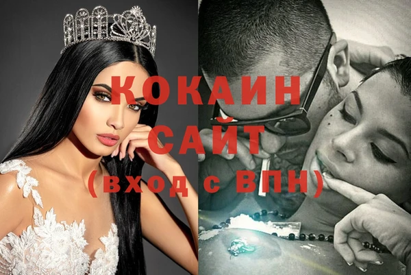 шишки Иннополис
