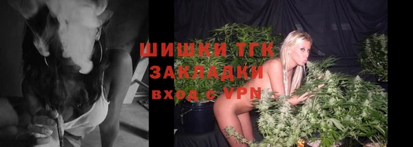 шишки Иннополис