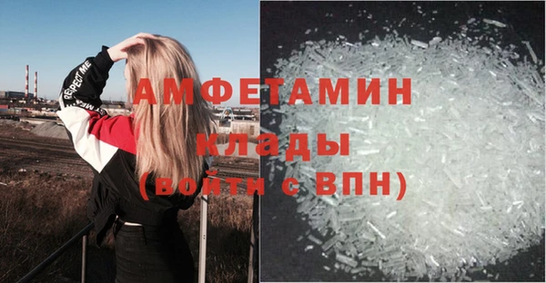 ПСИЛОЦИБИНОВЫЕ ГРИБЫ Инта