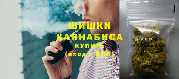 ПСИЛОЦИБИНОВЫЕ ГРИБЫ Инта