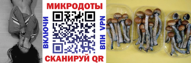 Купить закладки  Богородск  Псилоцибиновые грибы Magic Shrooms 